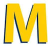 Logo MetGIS GmbH